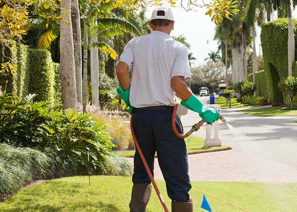 About Huntsville UT Pest Control Pros